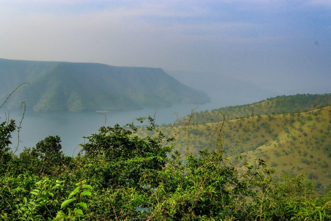 Octopus View Point